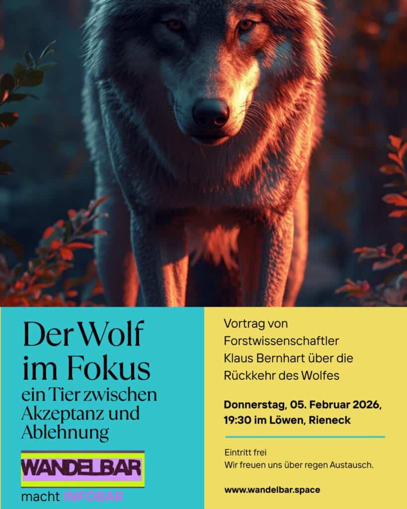 Der-Wolf-im-Fokus